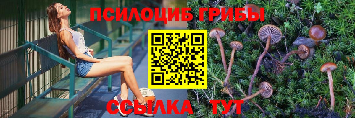 Соликамск  Псилоцибиновые грибы Magic Shrooms  Вход с VPN  Псилоцибиновые грибы Magic Shrooms 