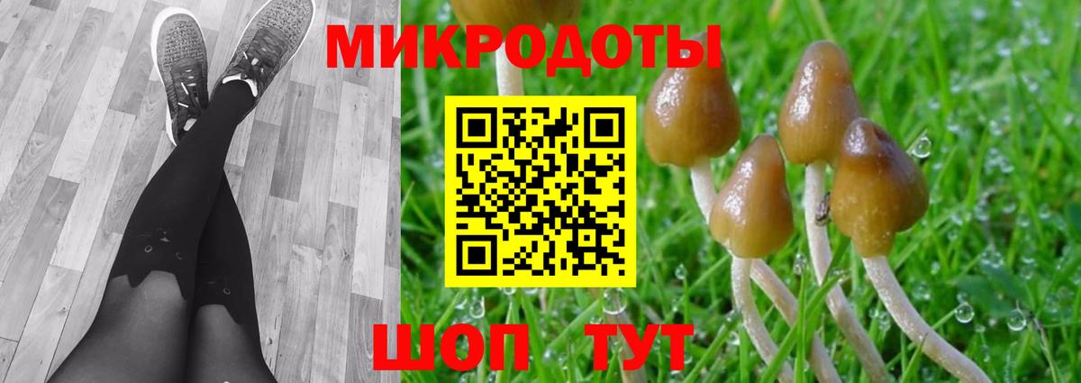 Галлюциногенные грибы Psilocybe Соликамск
